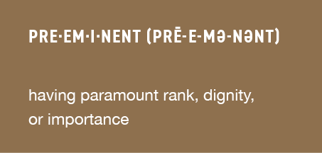 pre·em·i·nent (prē-e-mə-nənt)   having paramount rank, dignity, or importance